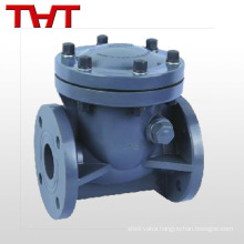 inline mini swing plastic spring vertical check valve pvc / dn15-non return valve